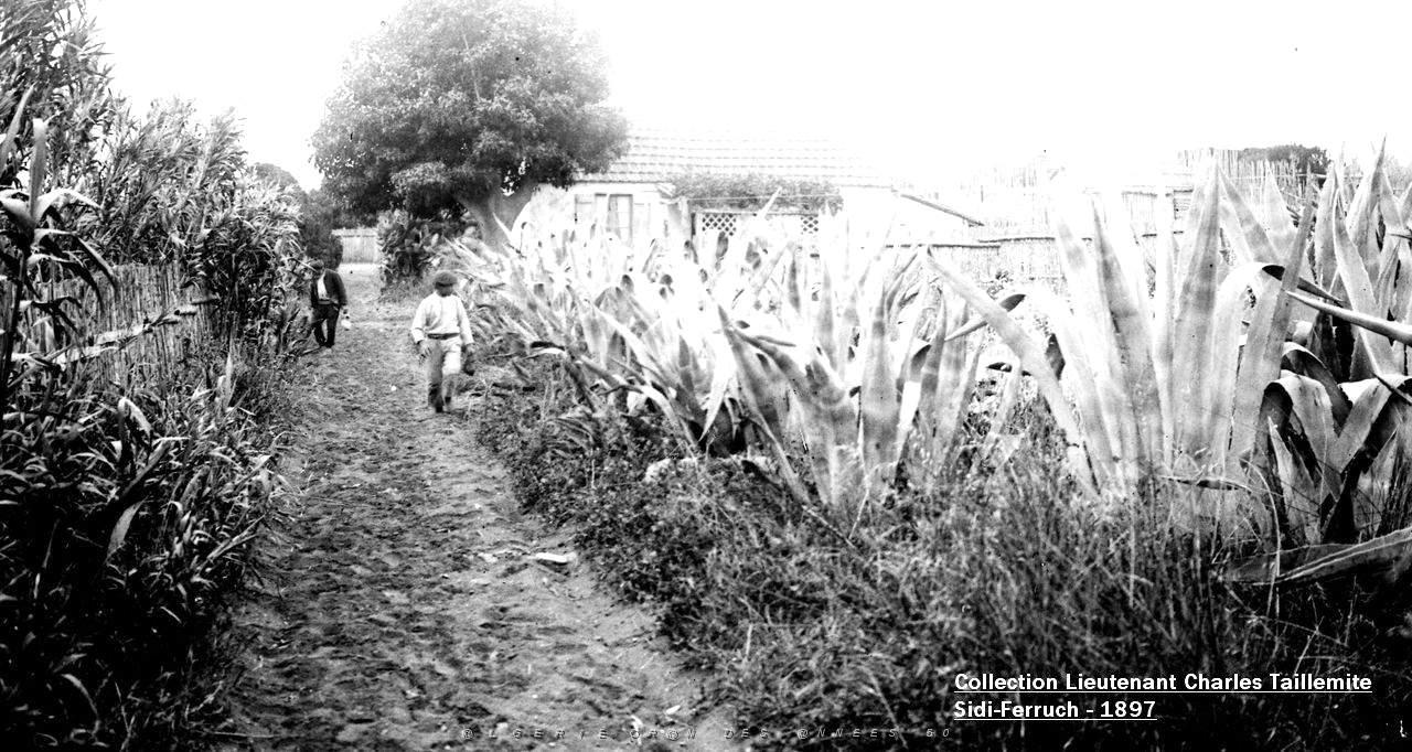 Images d'Algerie 239- Sidi-Ferruch- 1897.jpg